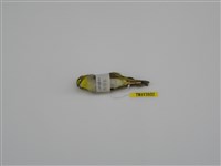 藏品(綠繡眼)的圖片